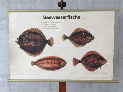 Schulkarte 